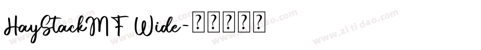 HayStackMF Wide字体转换